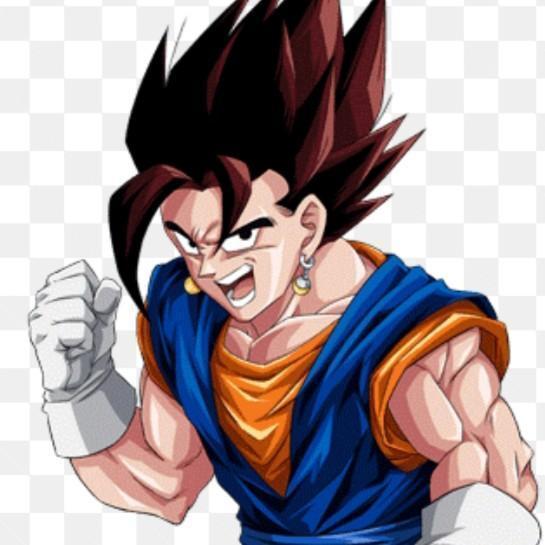 Vegetto🇮🇹🧤