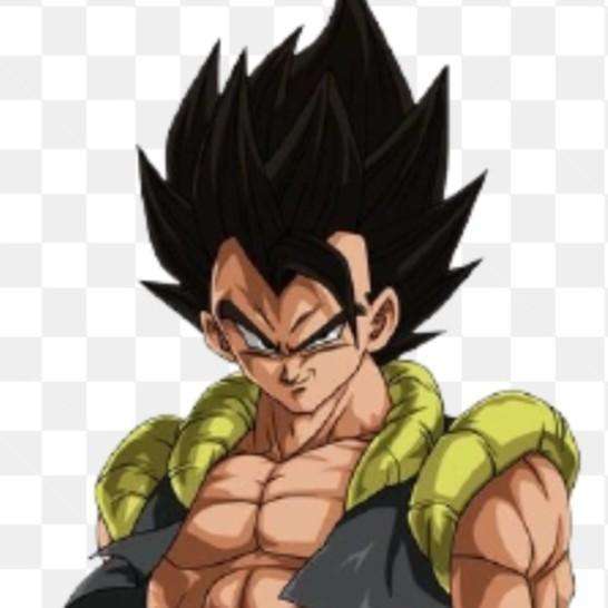 Gogeta🇯🇵