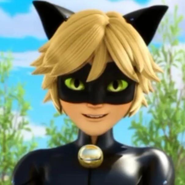 Cat Noir🇫🇷