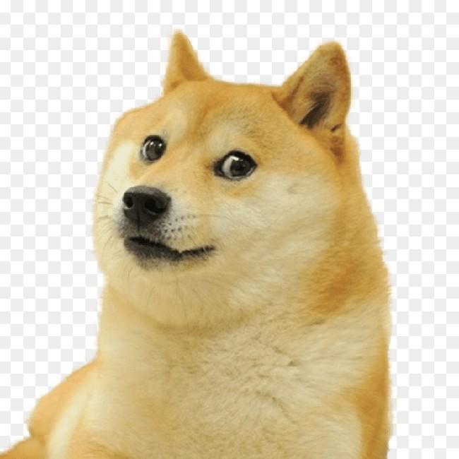 Doge