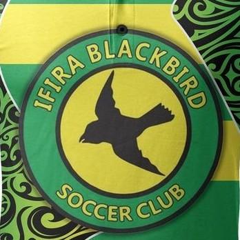 ifira black bird/Vanuatu 🇻🇺