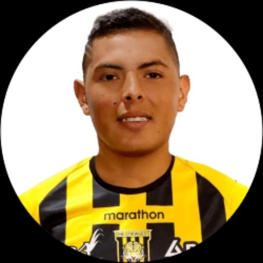 Ronald Steven Bustos Torrelio