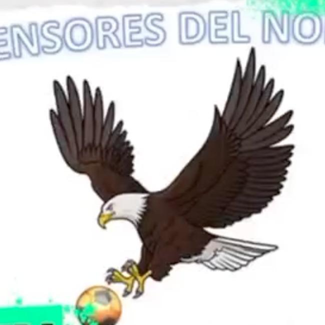 DEFENSORES DEL NORTE