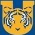Tigres