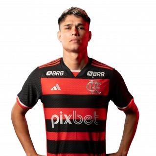LUIZ ARAÚJO