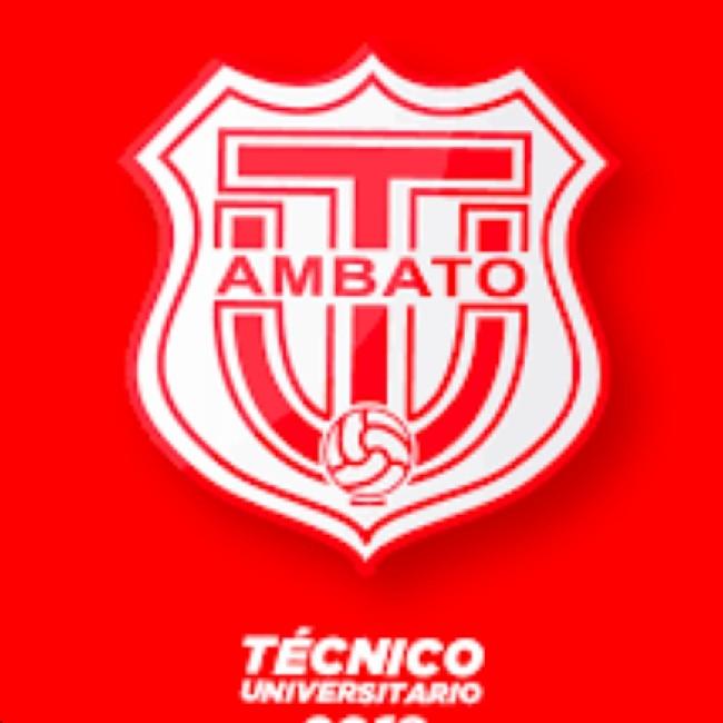 Técnico Universitario