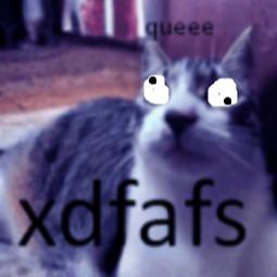 ReMegahomoseXual cagon