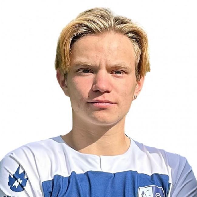 Сидорин