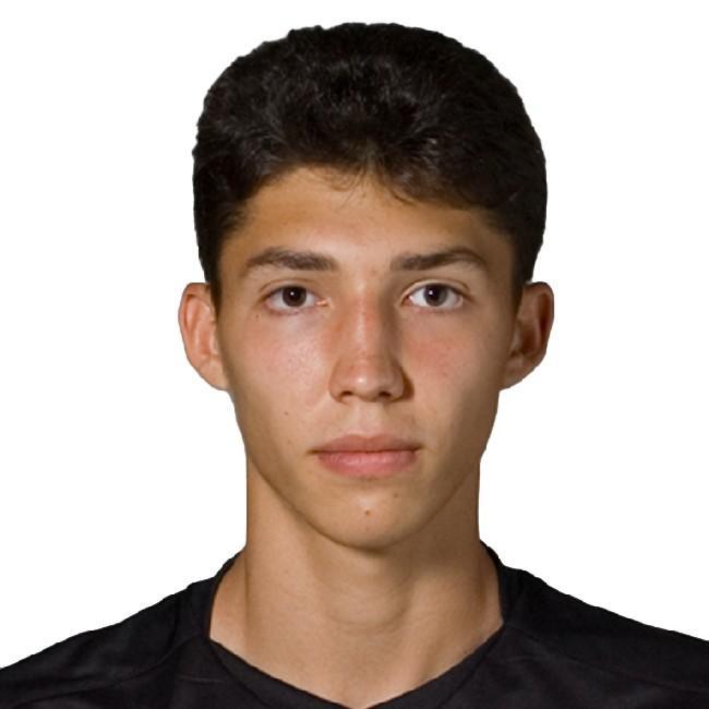 Чигирев