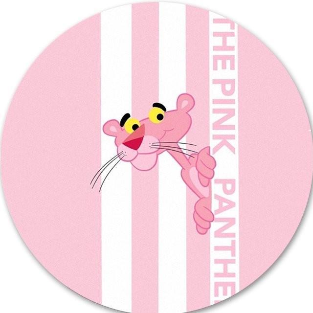 Pink Panter Team
