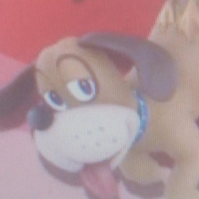 Duck Hunt Marron