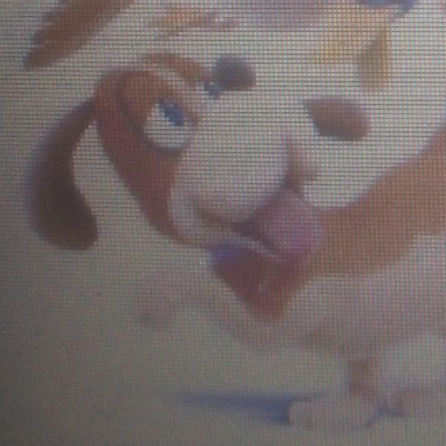 Duck Hunt bicolore