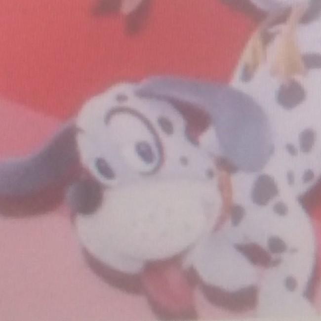 Duck Hunt (Dalmatien)
