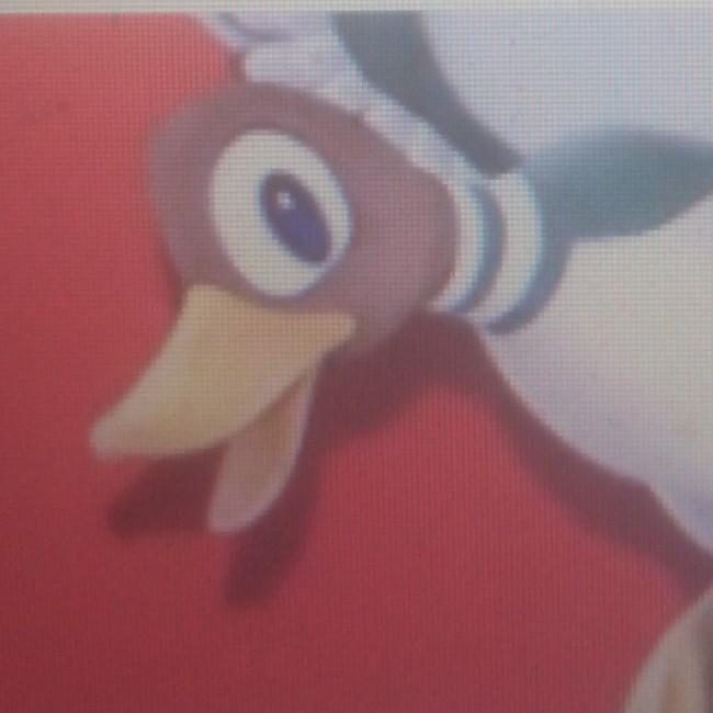 Canard 2