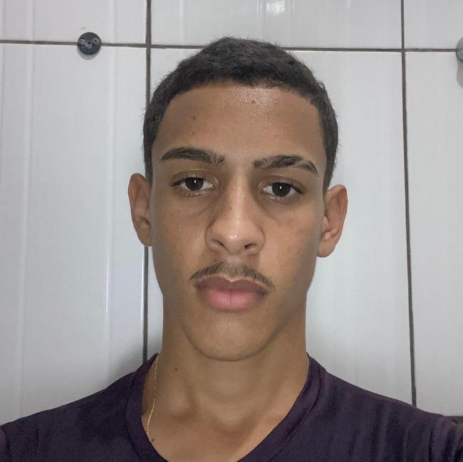 LUIZ ALFREDO SILVA CORREA