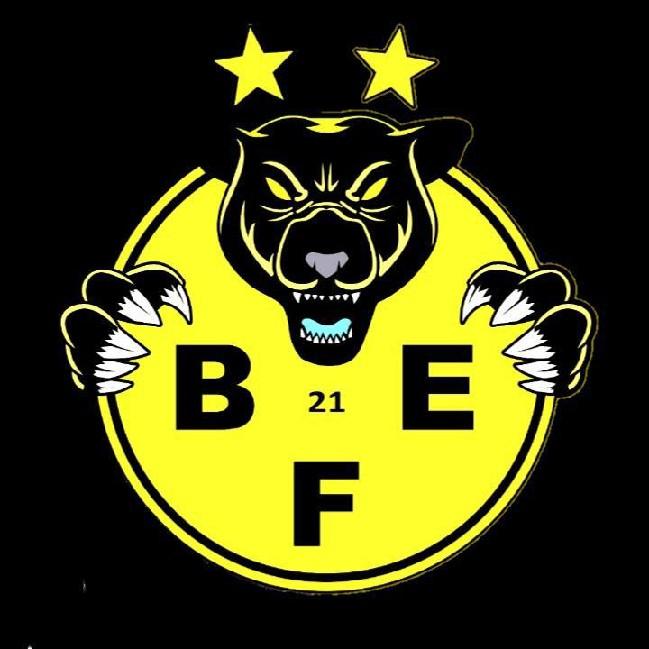 Borussia Futsal