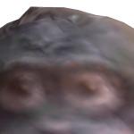 RENATO107R (tatocvj)