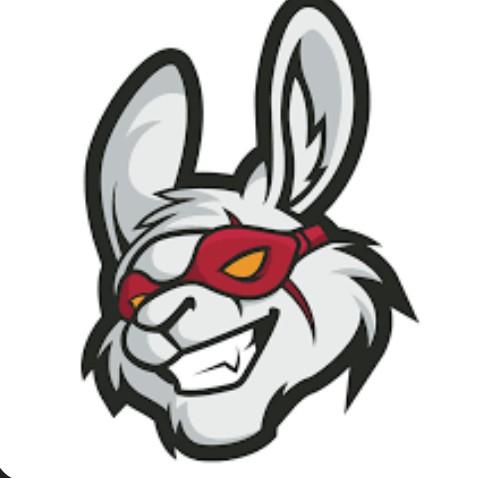 Misfits Gaming