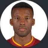 🇳🇱 G. Wijnaldum