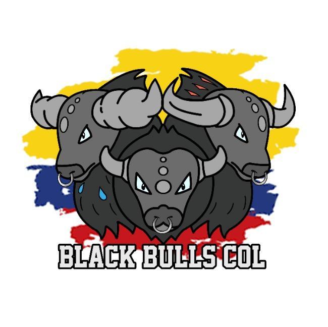Blacks bull Col