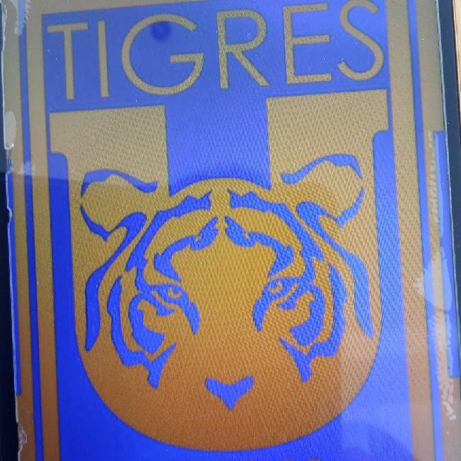 Tigres