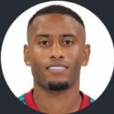 🇳🇱 L. Narsingh