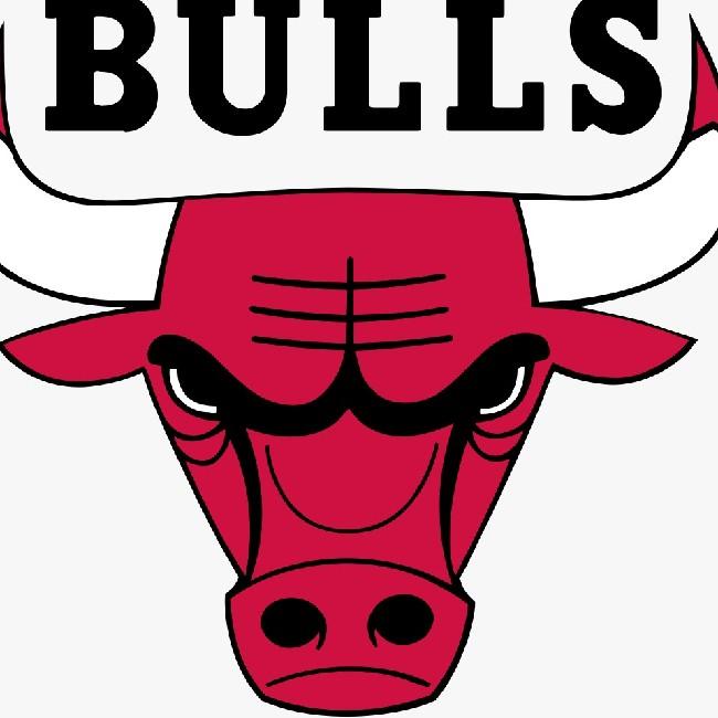 Chicago Bulls