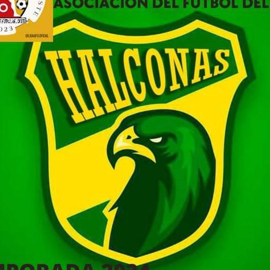 Halconas FC