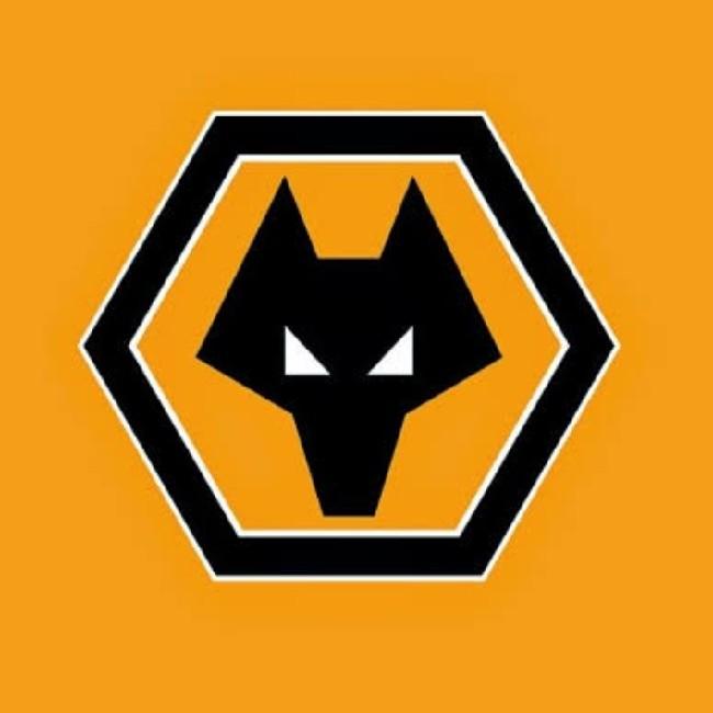 Wolwes