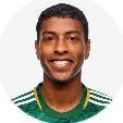 M. Araujo