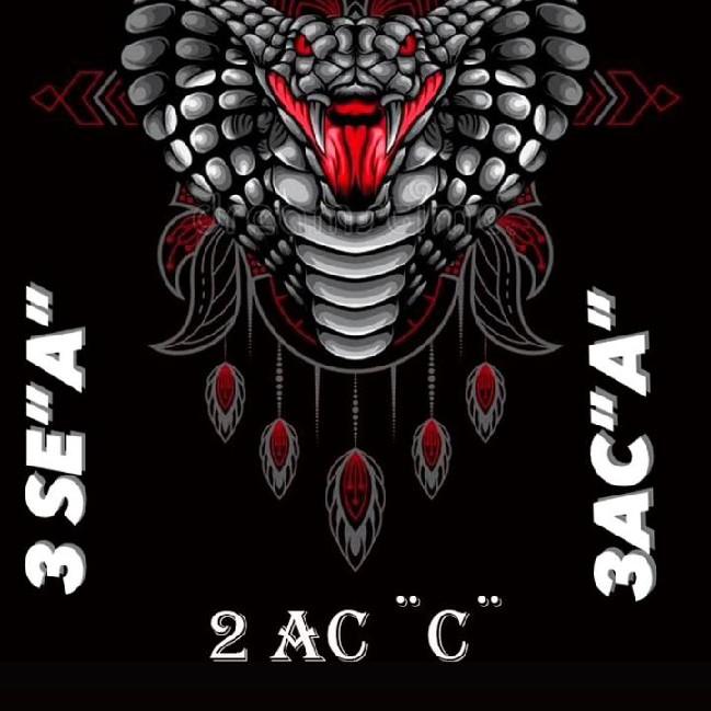 2 ACC/3 SEA/3 ACA