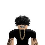 willatemi_2010(Willatemi_2010)