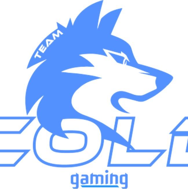 Team Cold Gaming