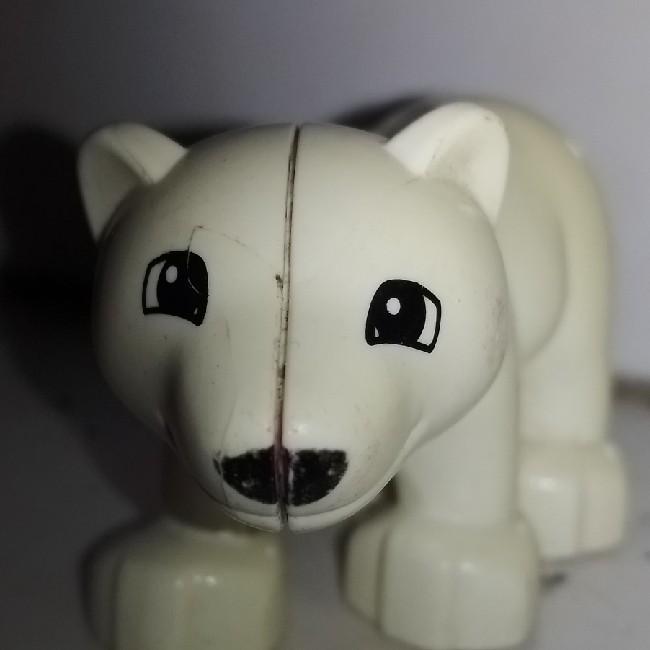 Oso polar
