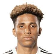 Gedson Fernandes