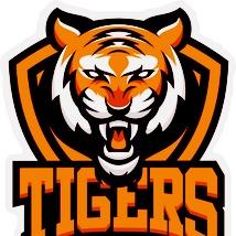 TIGERS OWNSONS