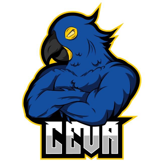 Clube Esportivo de Vôlei Arara-Azul