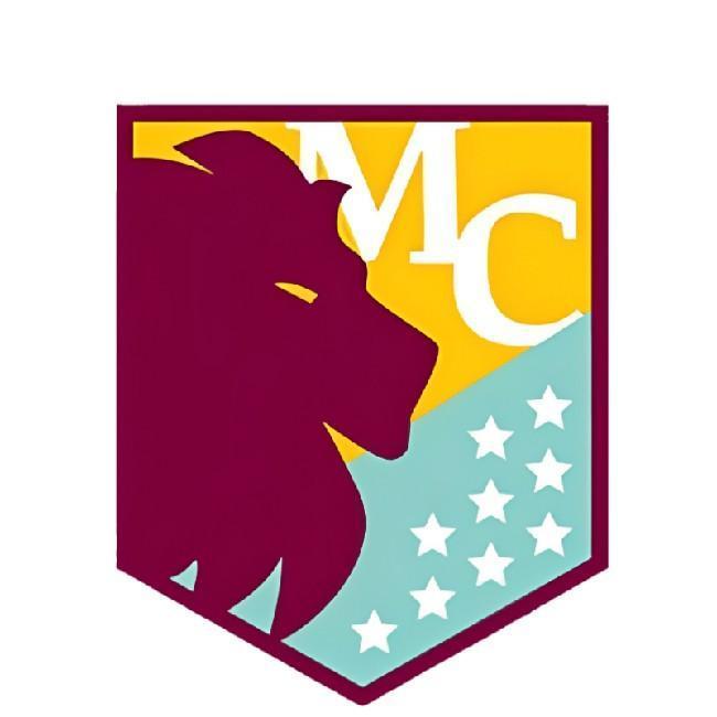 Aston Villa