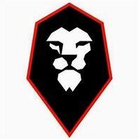 Team Salford