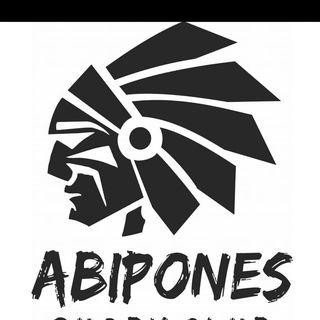 Abipones