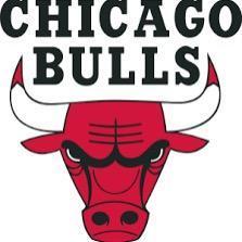 Chicago bulls