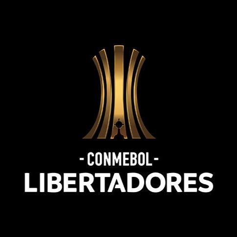 COPA CONMEBOL LIBERTADORES HAXBALL