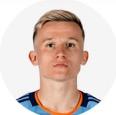 M. Ilenic