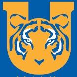 Tigres UANL