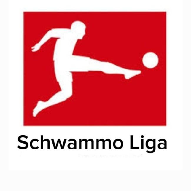 Schwammo Liga 1