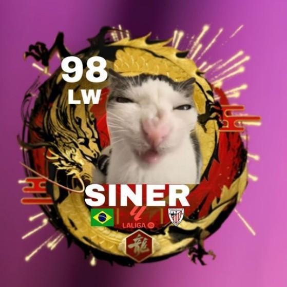 Siner