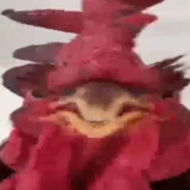 Abu