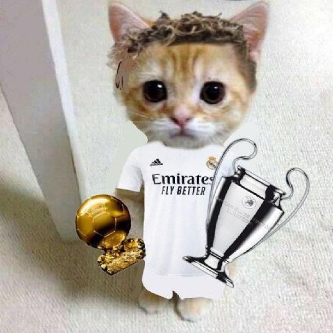 Амирчжан