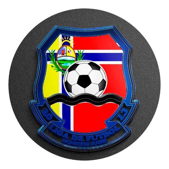 COPA LIGA LIFUSUC FUTBOL CAMPO 2024