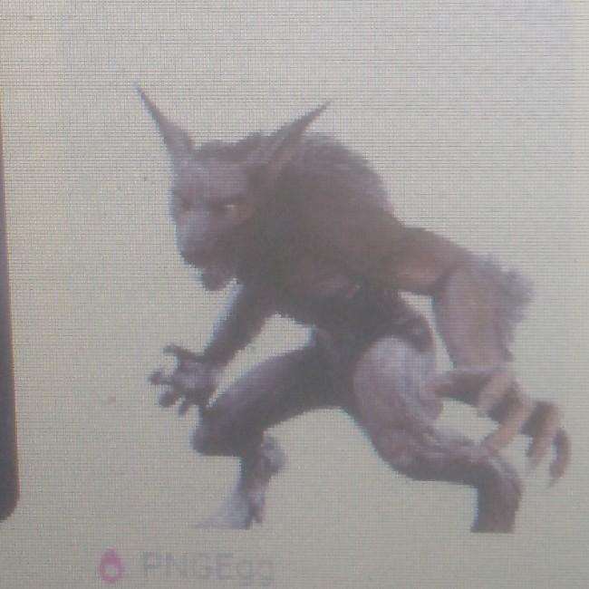 Loup garou